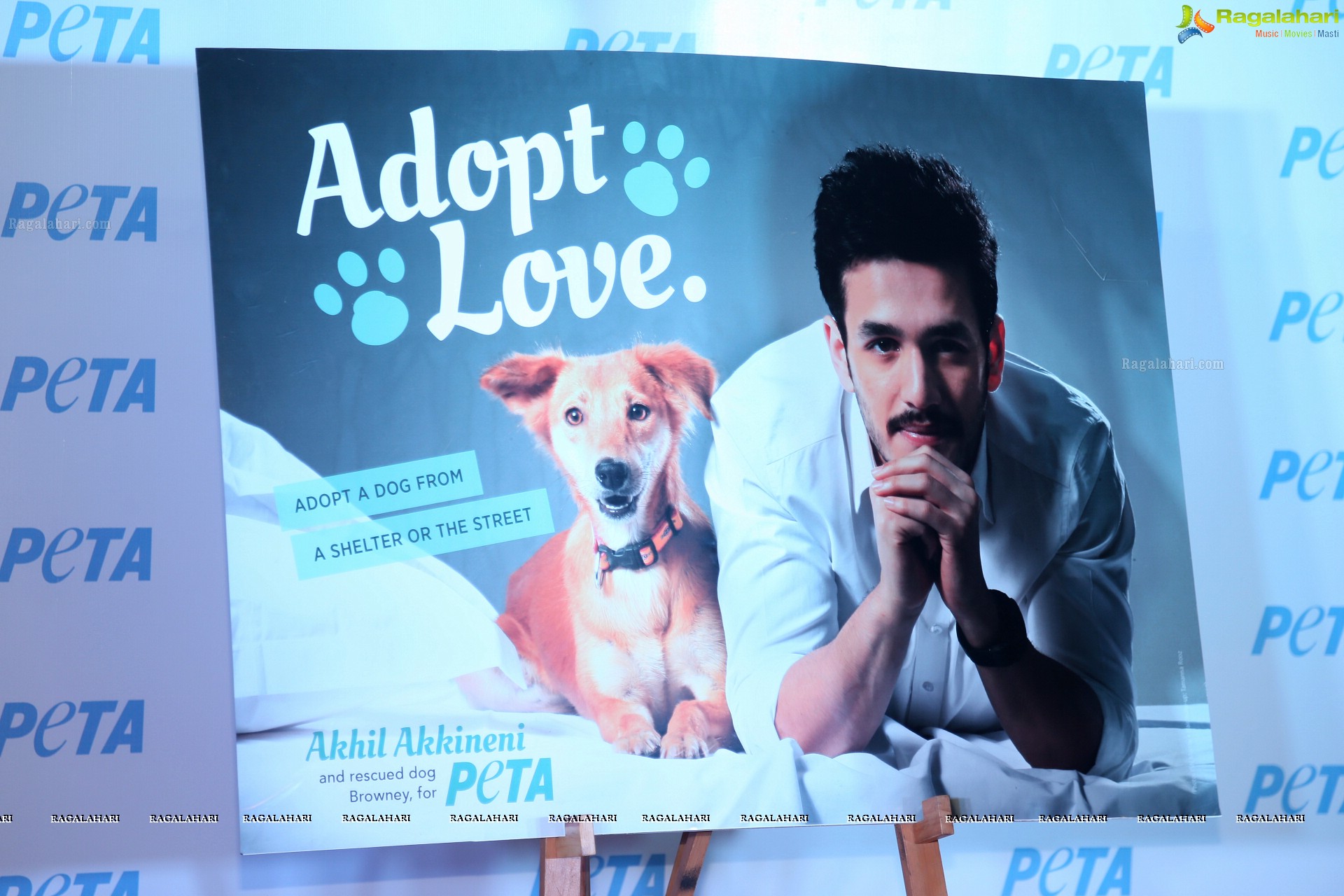 PETA New Adoption Campaign Launch by Akhil Akkineni at Annapurna 7 Acres, Hyderabad