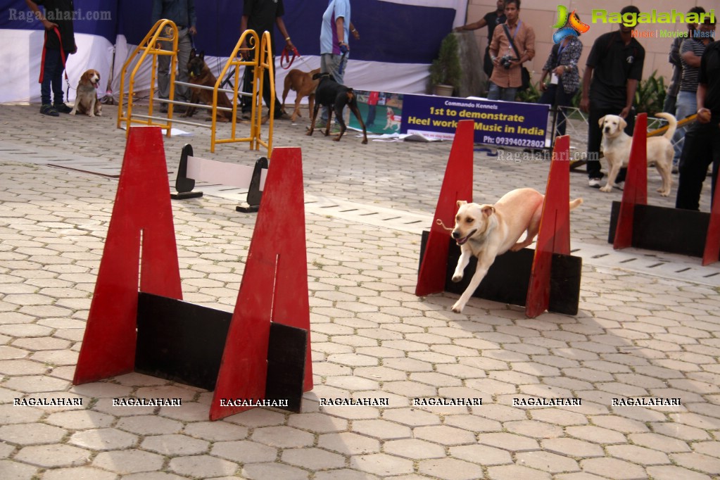 Eukanuba HyCan'15 Dog Show at HITEX