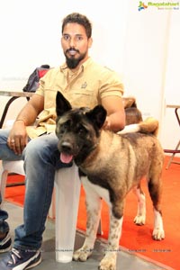 Dog Show at HITEX