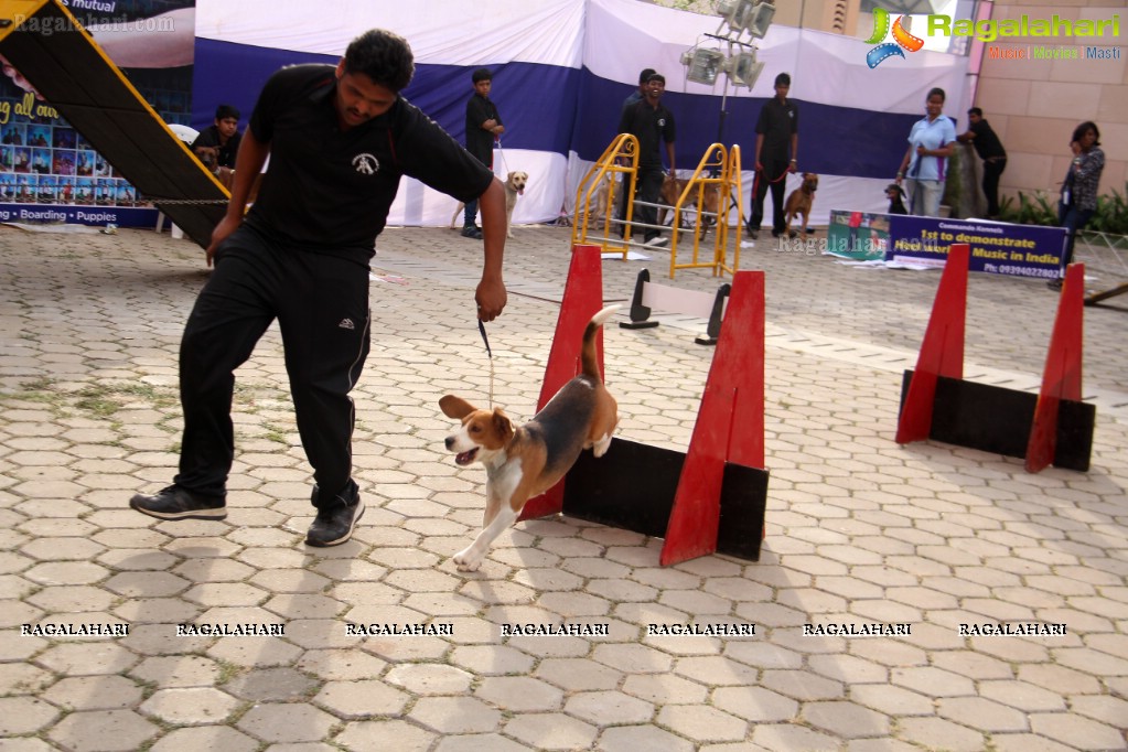 Eukanuba HyCan'15 Dog Show at HITEX