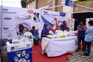 Dog Show at HITEX