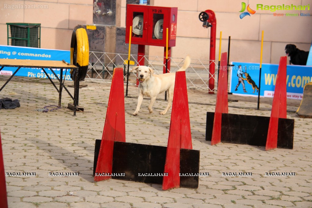 Eukanuba HyCan'15 Dog Show at HITEX