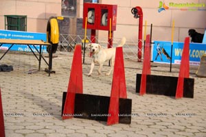 Dog Show at HITEX