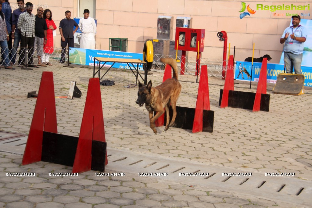 Eukanuba HyCan'15 Dog Show at HITEX