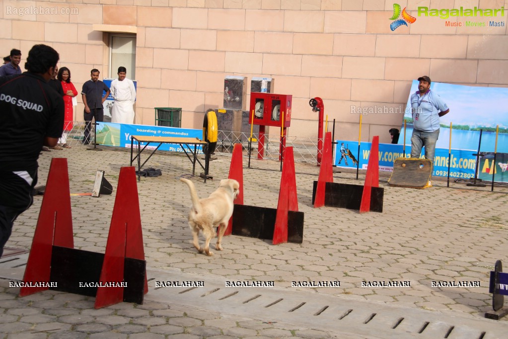 Eukanuba HyCan'15 Dog Show at HITEX