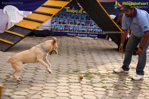 Dog Show at HITEX