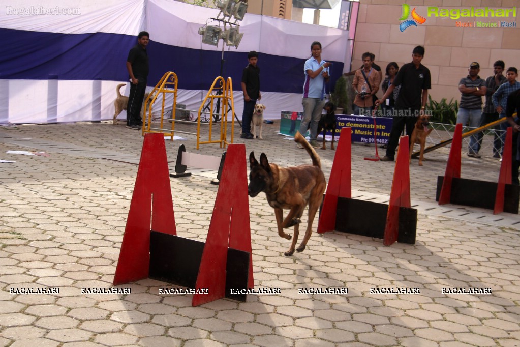 Eukanuba HyCan'15 Dog Show at HITEX