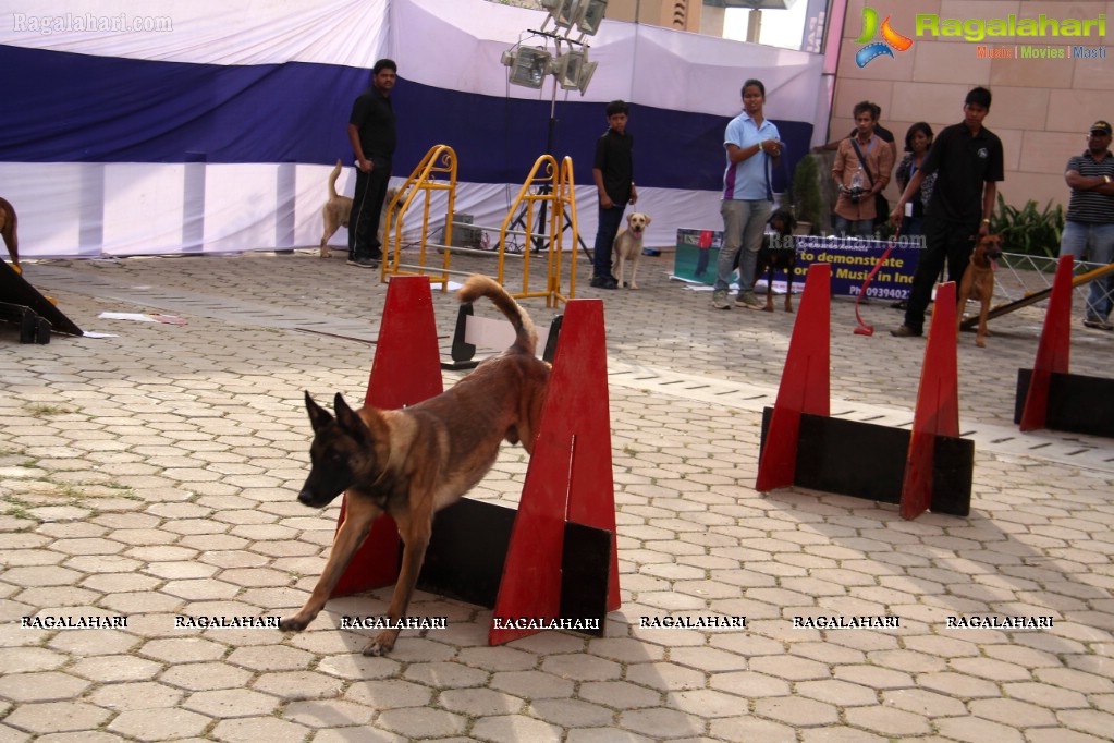 Eukanuba HyCan'15 Dog Show at HITEX
