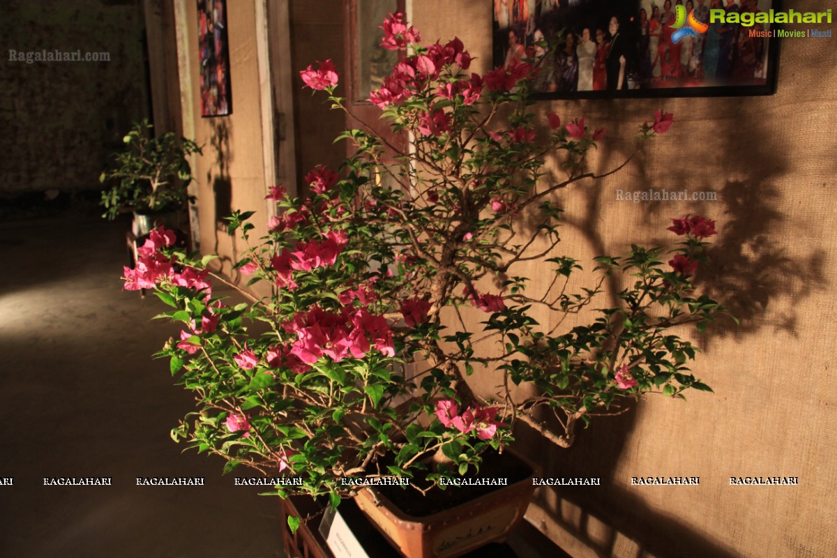 Ikebana Exhibition with Sculptures at Old Ritz Hotel, Hyderabad