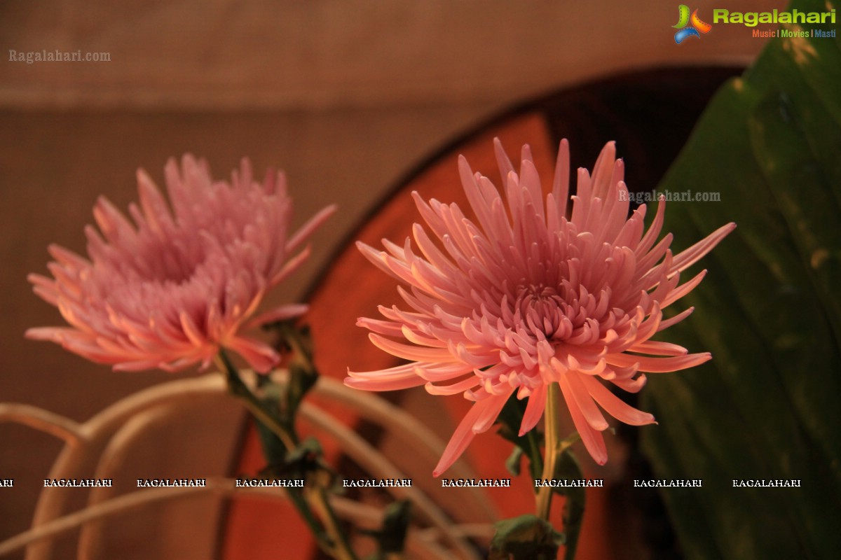 Ikebana Exhibition with Sculptures at Old Ritz Hotel, Hyderabad