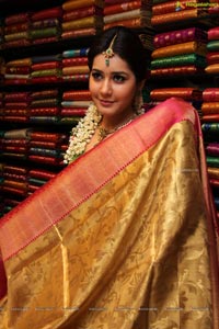 Rashi Khanna Kanchipuram Kamakshi Silks