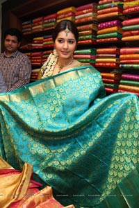 Rashi Khanna Kanchipuram Kamakshi Silks