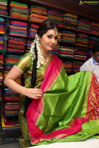 Rashi Khanna Kanchipuram Kamakshi Silks