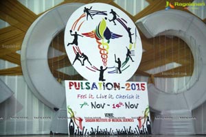 Pulsation 2015