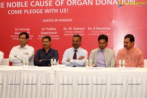 Samantha Organ Donation