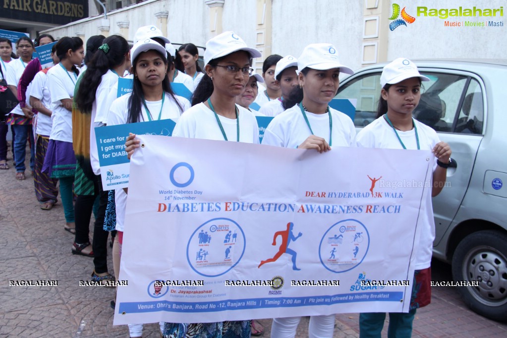 World Diabetes Day 2015 Walk by Apollo Sugar, Hyderabad