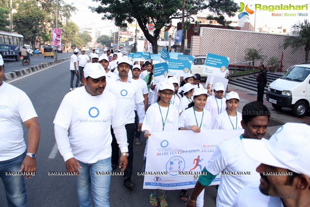 World Diabetes Day 2015 Walk by Apollo Sugar, Hyderabad