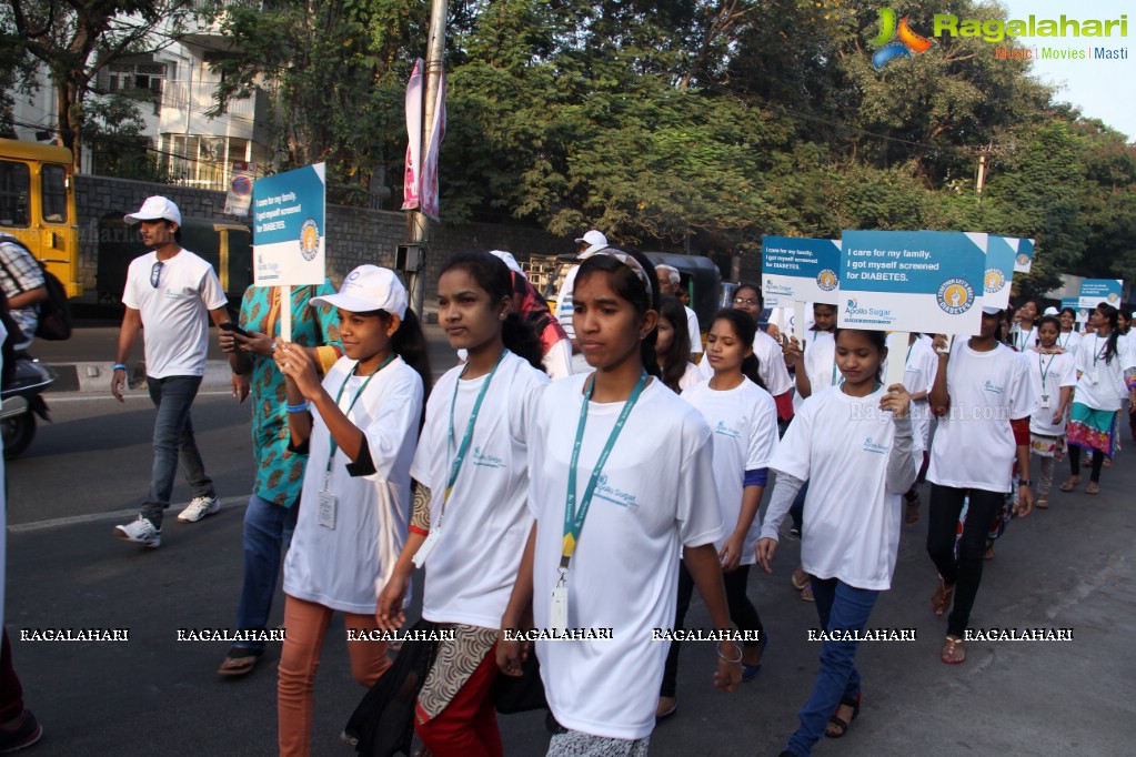 World Diabetes Day 2015 Walk by Apollo Sugar, Hyderabad