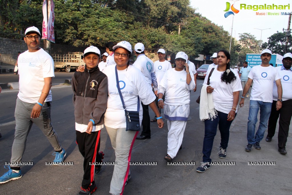 World Diabetes Day 2015 Walk by Apollo Sugar, Hyderabad