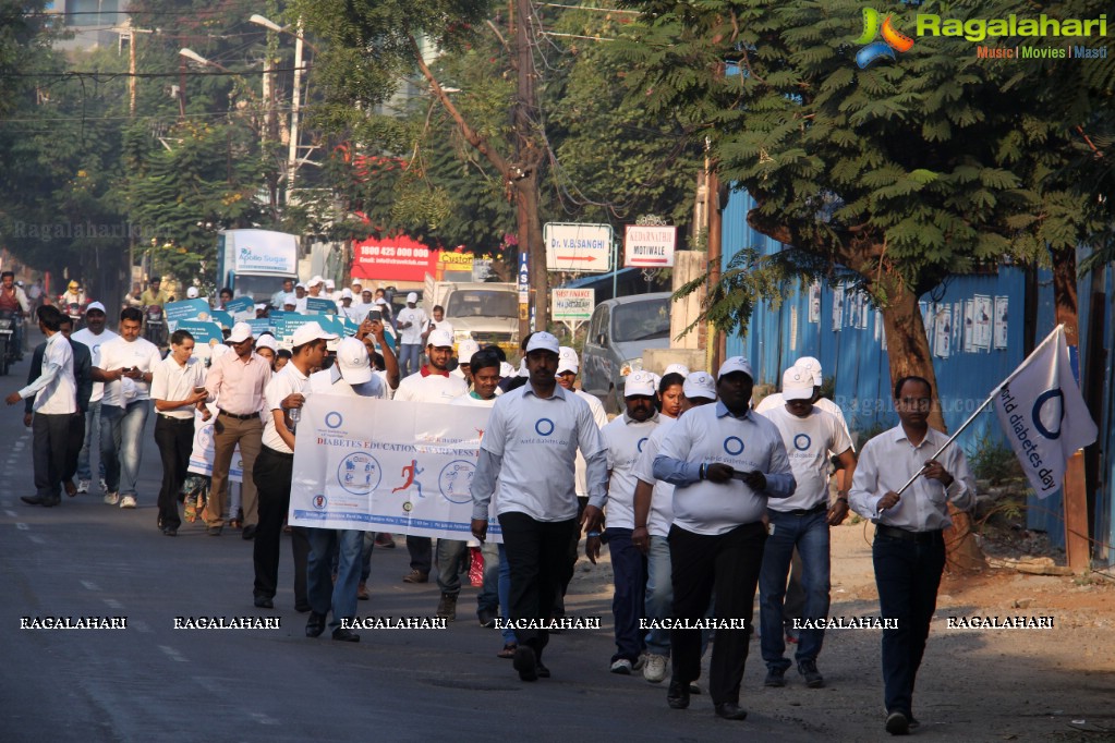 World Diabetes Day 2015 Walk by Apollo Sugar, Hyderabad
