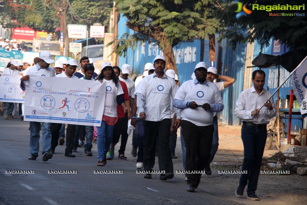 World Diabetes Day 2015 Walk by Apollo Sugar, Hyderabad