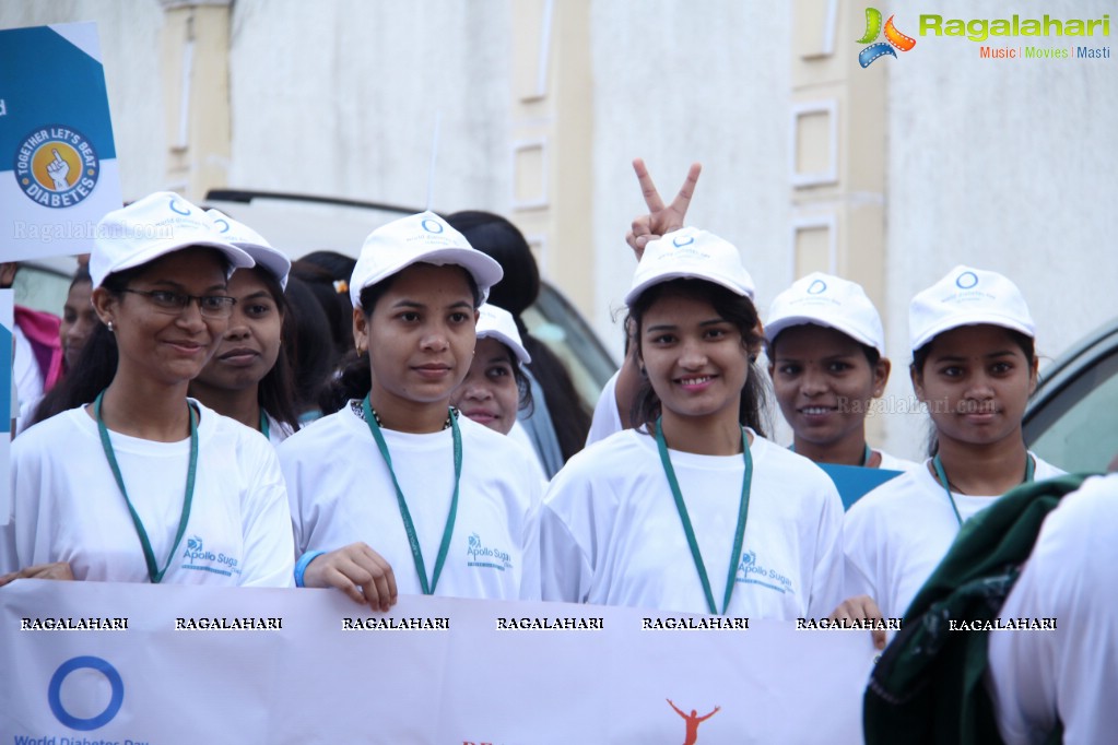 World Diabetes Day 2015 Walk by Apollo Sugar, Hyderabad