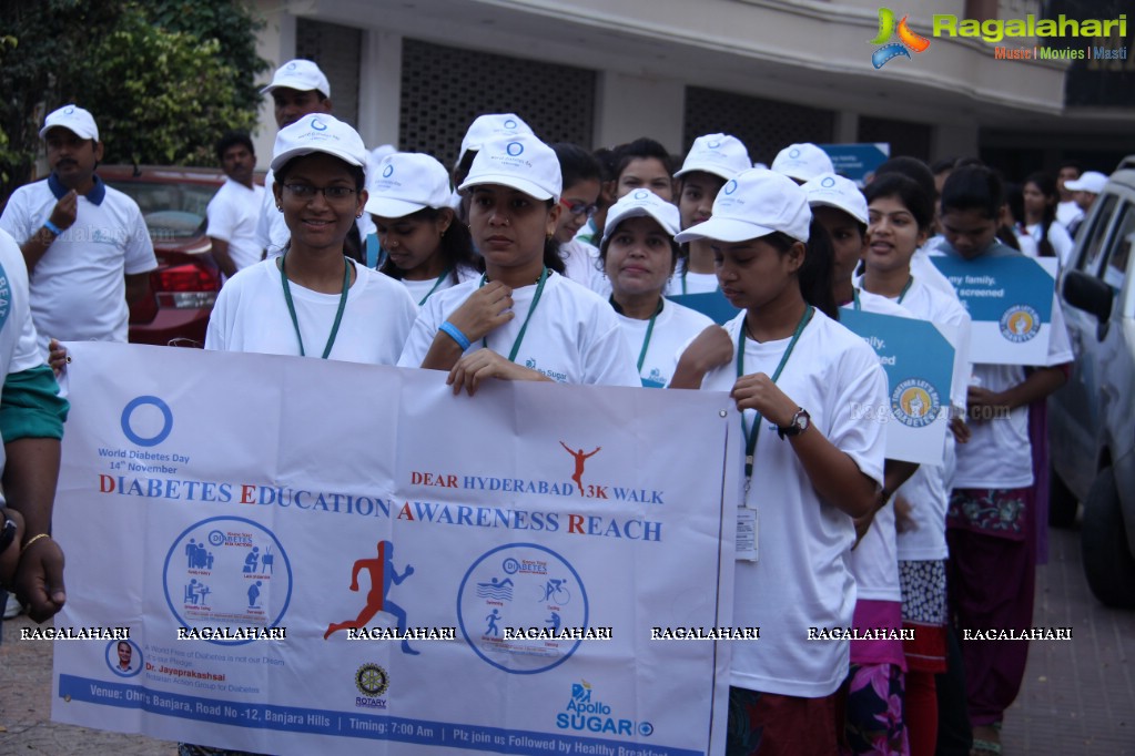 World Diabetes Day 2015 Walk by Apollo Sugar, Hyderabad