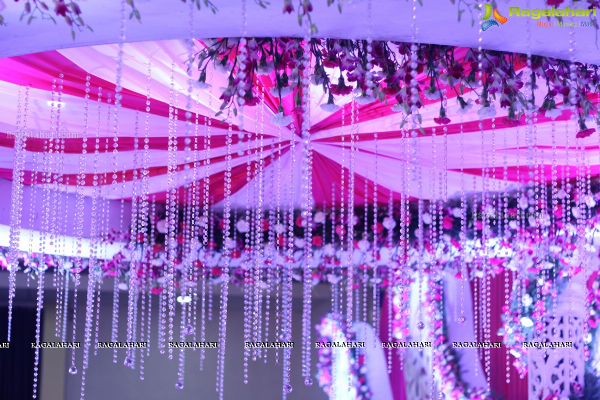 Wedding Reception Party of Anudeep Reddy and Sanjana Reddy at Sandhya Convention