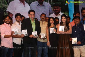 Care of Godavari Audio Release