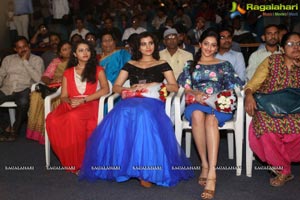 Janaki Ramudu Audio Release