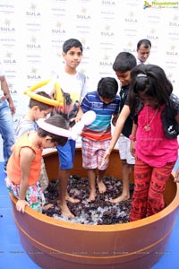 Grape Stomping Cake Mixing Novotel Hyderabad