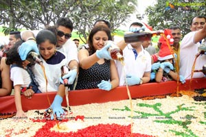 Grape Stomping Cake Mixing Novotel Hyderabad