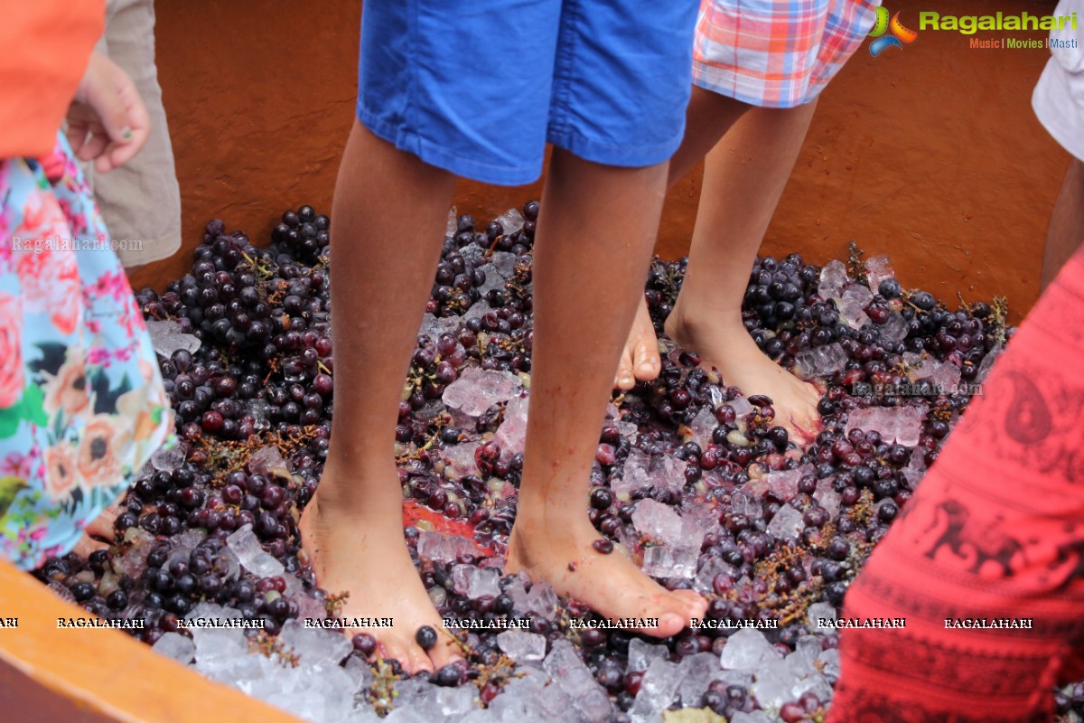 The Grape Stomping Brunch and Cake Mixing Event at Novotel Hyderabad Airport