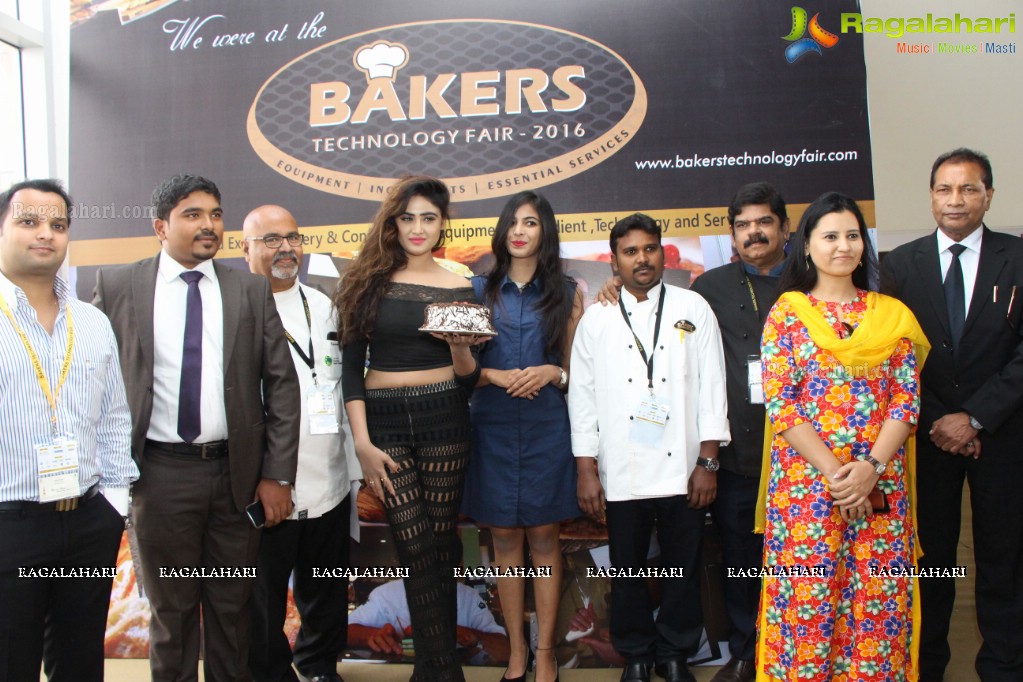 Cake-Pastry Challenge at Bakers Technology Fair 2016, HITEX