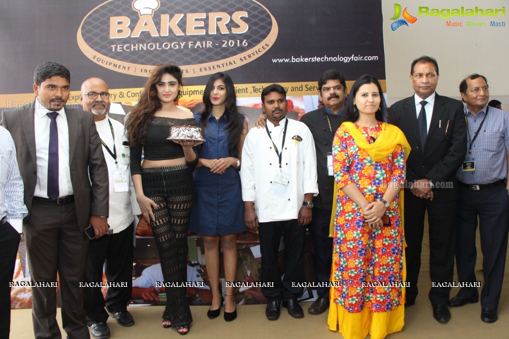 Cake-Pastry Challenge at Bakers Technology Fair 2016, HITEX