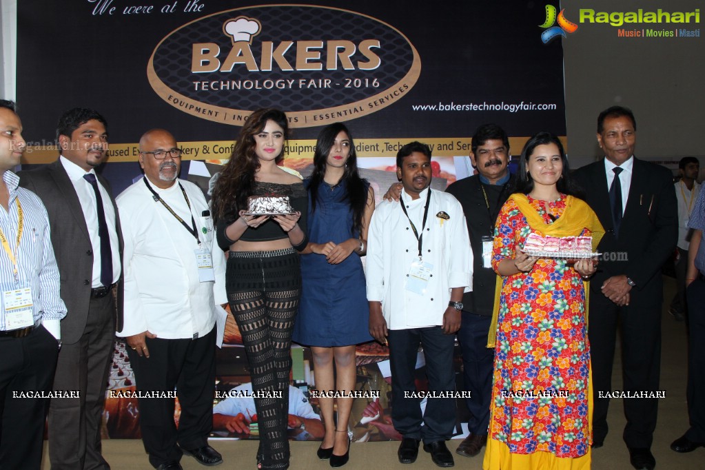 Cake-Pastry Challenge at Bakers Technology Fair 2016, HITEX