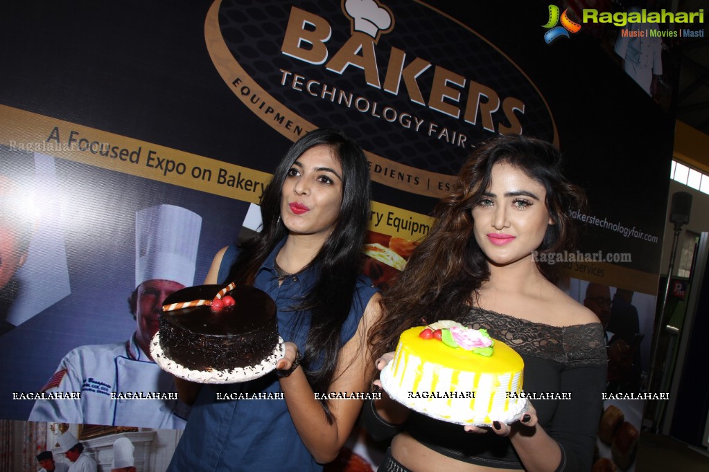 Cake-Pastry Challenge at Bakers Technology Fair 2016, HITEX