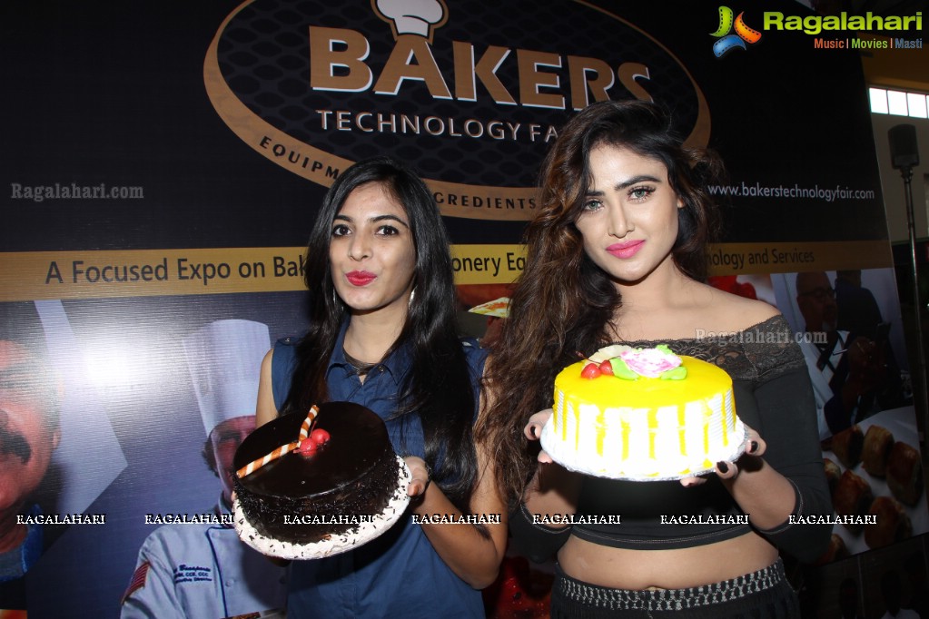 Cake-Pastry Challenge at Bakers Technology Fair 2016, HITEX