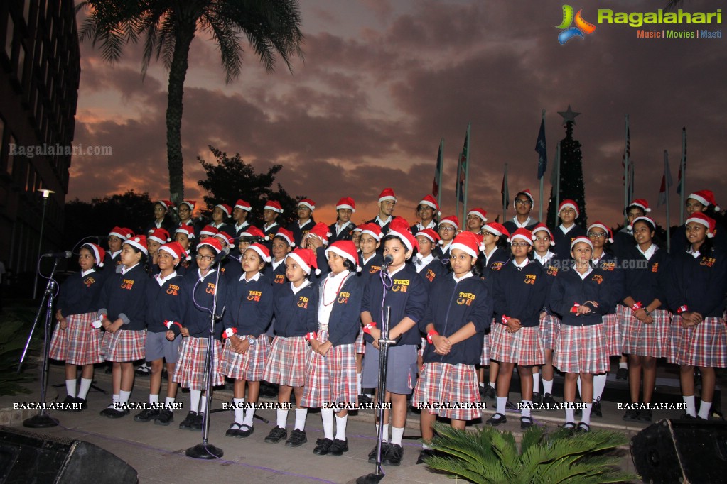 Tree Lighting Ceremony 2016 at Novotel Hyderabad Convention Centre