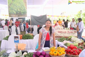 The Hyderabad Market Karen Anand