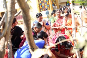 Karthika Masam Celebrations