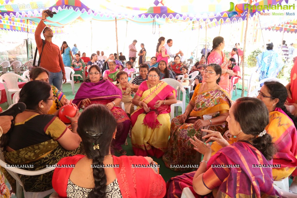 Karthika Masam Celebrations 2016 by Kovvali-Denduluru Residents