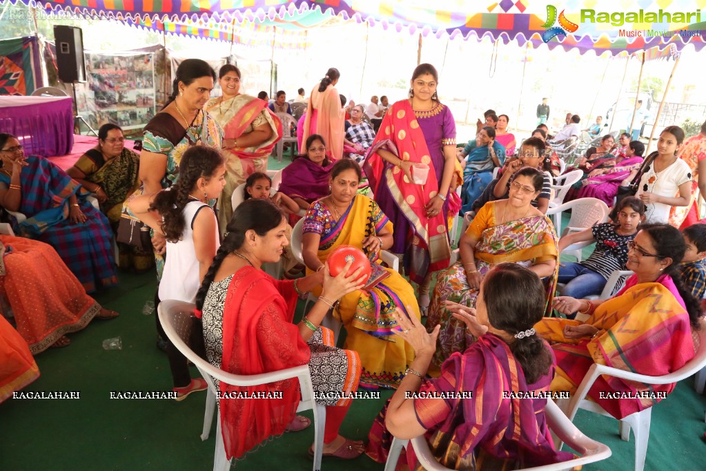 Karthika Masam Celebrations 2016 by Kovvali-Denduluru Residents