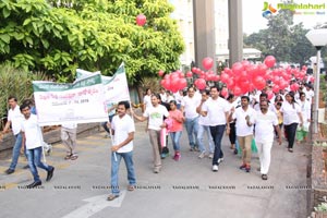 LV Prasad Walk 2016