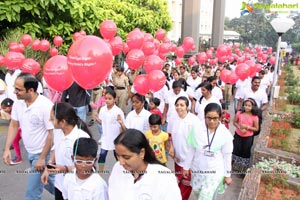 LV Prasad Walk 2016