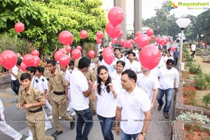 LV Prasad Walk 2016