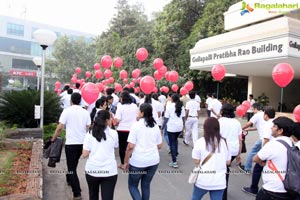 LV Prasad Walk 2016