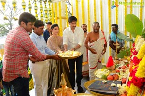 Gopichand-Mehreen Kaur Film