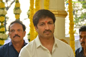 Gopichand-Mehreen Kaur Film