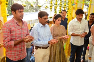 Gopichand-Mehreen Kaur Film